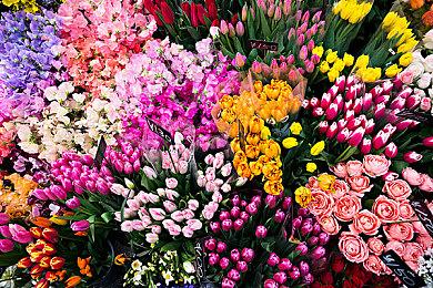 《CS2》限量封测更新：加入搭档模式和两张新地图