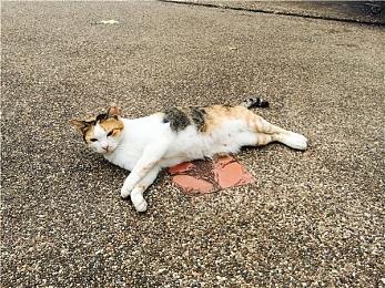 一击毙命格斗游戏《命悬一刃》发布游戏性预告